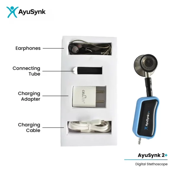 AyuSynk 2+ what's in the box