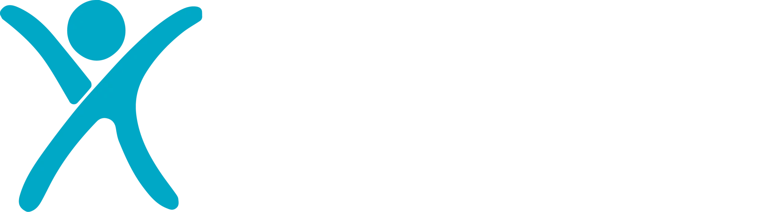 Digital Stethoscope demo AyuSynk